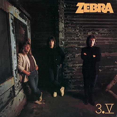 Amazon.com: Zebra: CDs & Vinyl